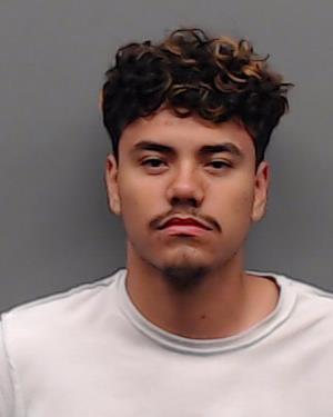 CARDENAS, FERNANDO JAEL booking photo