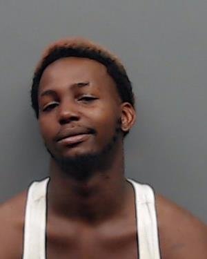 WILLIAMS, JACOVIAN booking photo