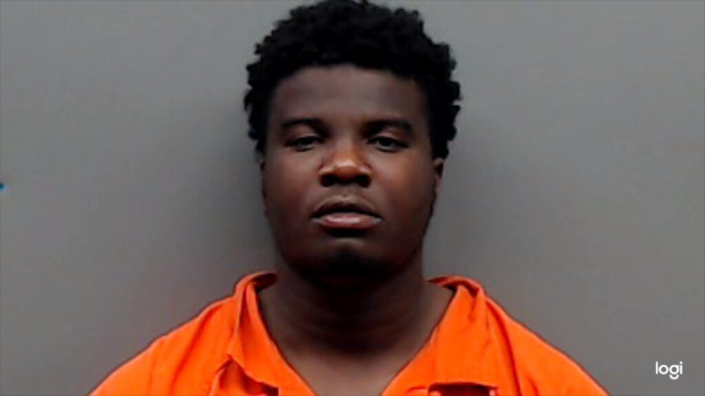 ADINDU, LESLIE EBUBECHUKWU arrested in Smith County, Texas mugshot