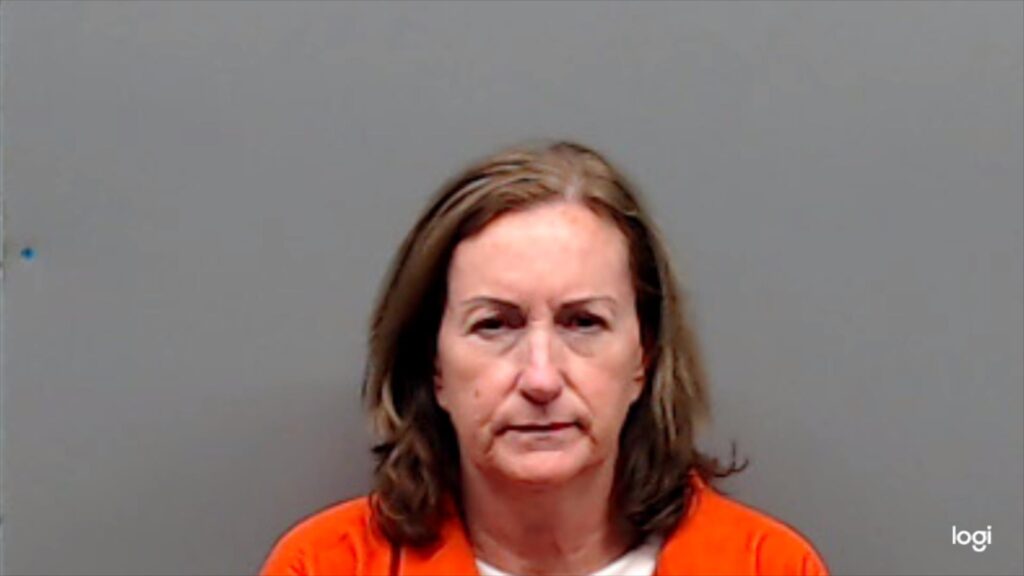 JOHNSON, LEE ANN arrested in Smith County, Texas mugshot