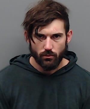 WOODS, TY ALAN booking photo