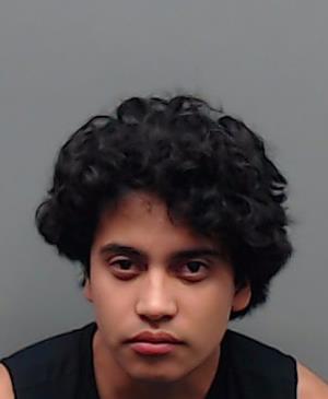 VIVEROS, LEONEL booking photo
