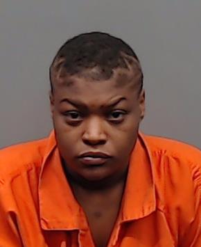 ERWIN, BRIANNA NICOLE booking photo