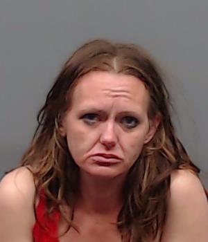 ROBINSON, JESSICA LAUREN booking photo