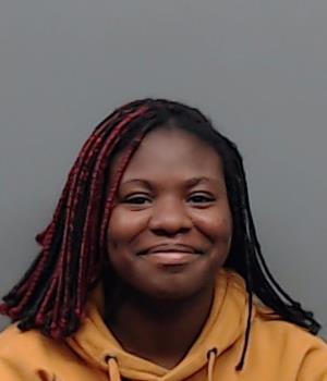 LEE, ELIZABETH booking photo