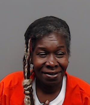 FILLINGIM, SANDRA ELAINE booking photo