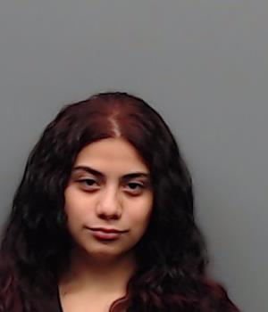 FLORES-SANCHEZ, ANDREA booking photo