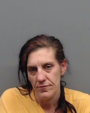 WHITE, CAROL ANN booking photo