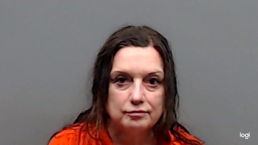ALBERT, SHEELA ASHLEY arrested in Smith County, Texas mugshot