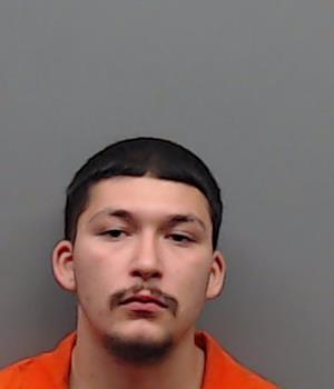 LUNA, JONATHAN RAANAN booking photo