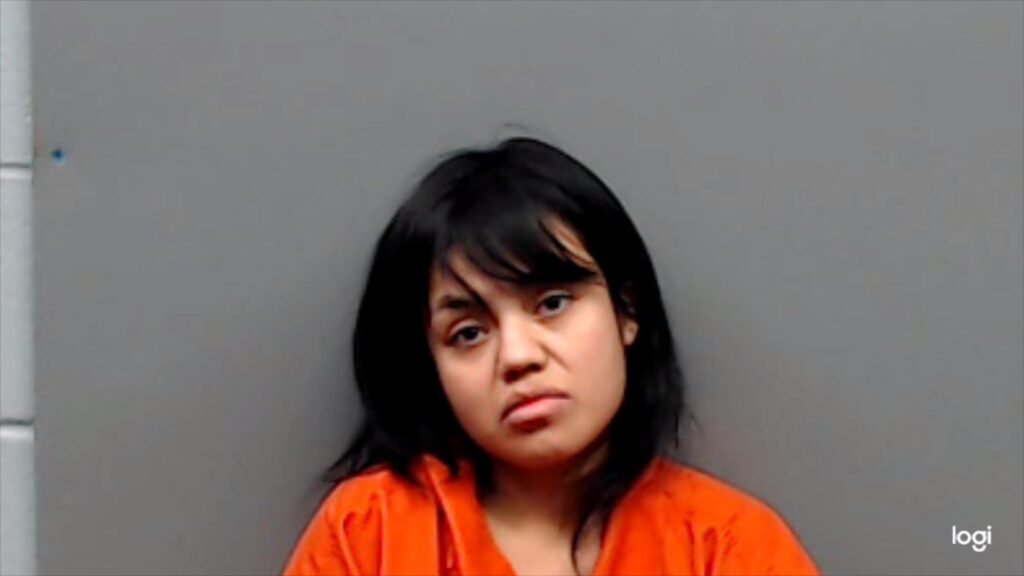 GUZMAN-LOPEZ, GREGORIA BERENIC arrested in Smith County, Texas mugshot