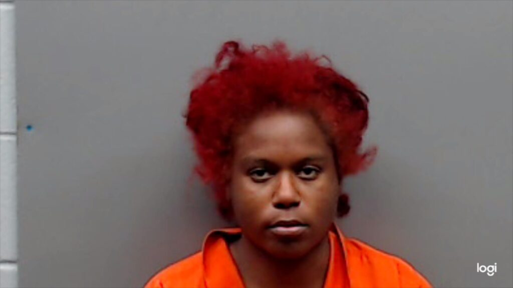 GIBBS, CHRISTY ELLEN arrested in Smith County, Texas mugshot