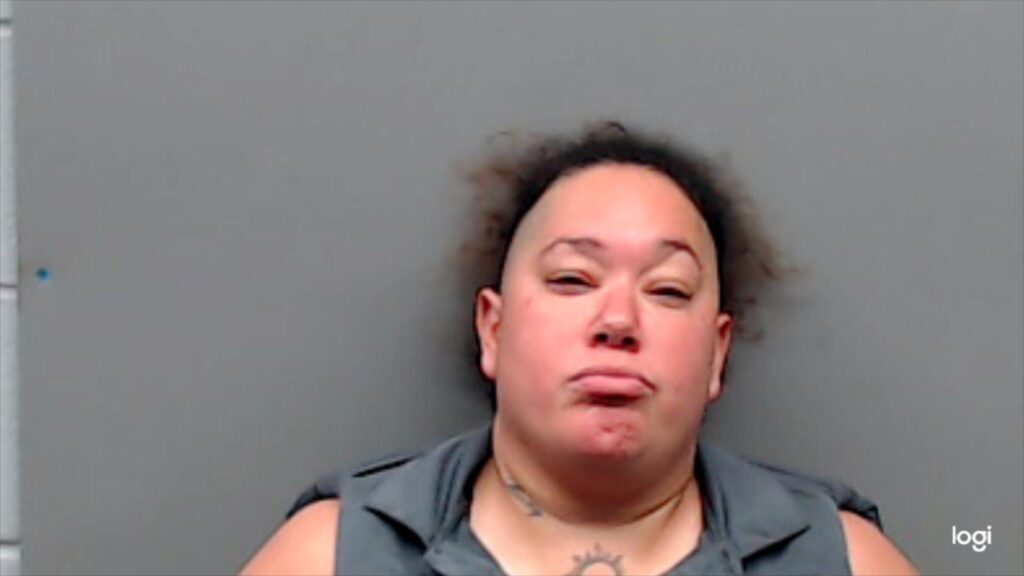 GUAJARDO, RENALDA arrested in Smith County, Texas mugshot