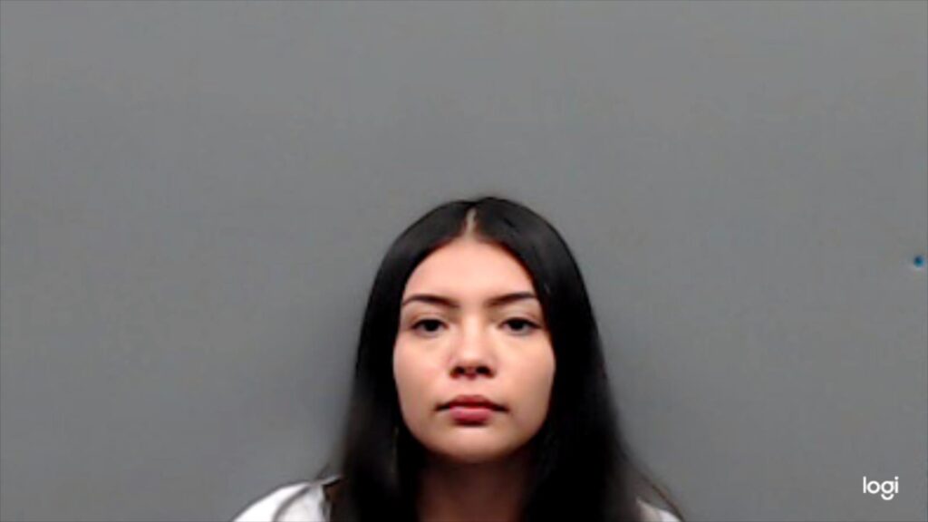 DAVILA, BRIANNA LIZETH arrested in Smith County, Texas mugshot