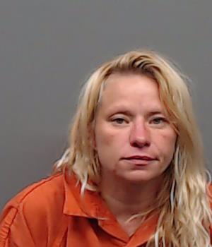 GAITHER, TERESA ANN booking photo