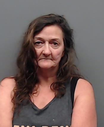 SNOW, SHERYL ANN booking photo
