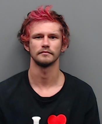 SNOW, DALLTON DEWAYNE booking photo