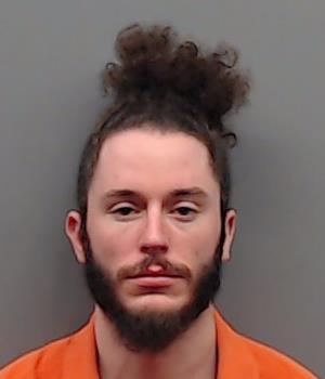 ROBERSON, IAN NEAL booking photo