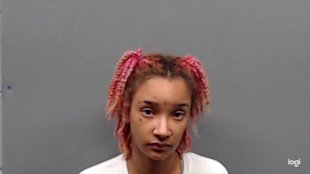 TERRY, DESTINEE MARIYAH booking photo