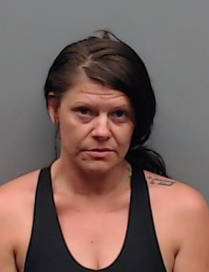 VIERS, ASHLEY booking photo