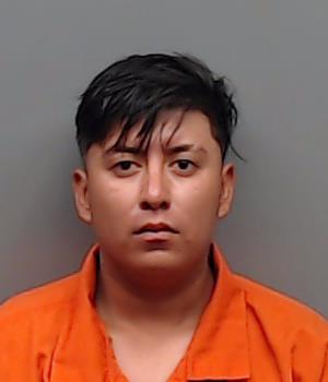 HERNANDEZ-FLORES, EDWIN GEOVANY booking photo