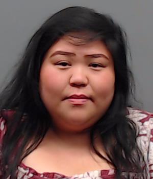 HA, SHERI LIN booking photo