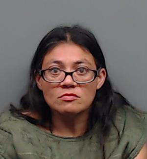 PEREZ, PAMELA THERESA booking photo
