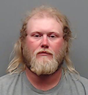 BRYAN, MICHAEL ODDIE booking photo