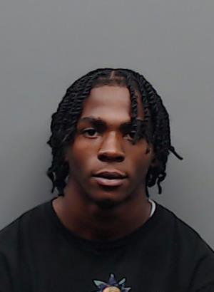 WILLIAMS, MICHAERIN booking photo