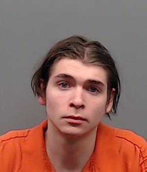 BRIDGES, BRAXTON booking photo