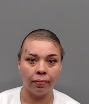 PERKINS, BRITTNEY LEANN booking photo