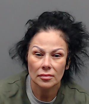 GONZALES, TINA RAQUEL booking photo
