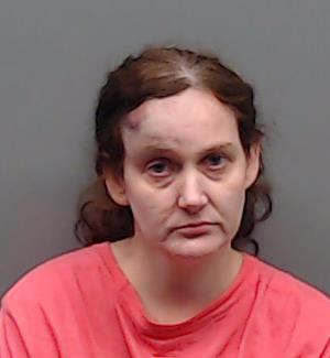 JENKINS, JANA LEIGH booking photo