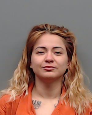 SALINAS, CESILIA booking photo