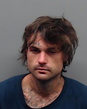 HARRIS, LOGAN WESTLEY booking photo