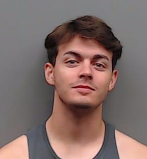 STEGEN, BEAU booking photo