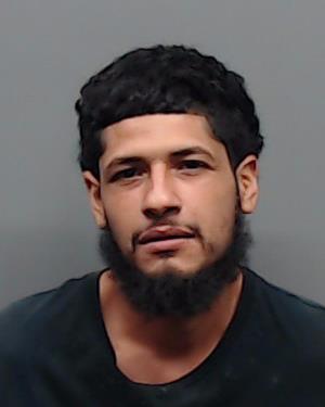 LANAS, CRISTIAN booking photo