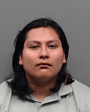 DIAZ-PEREZ, JOHAN JARET booking photo