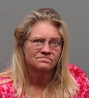 MEJIA, ANDREA LYNN booking photo