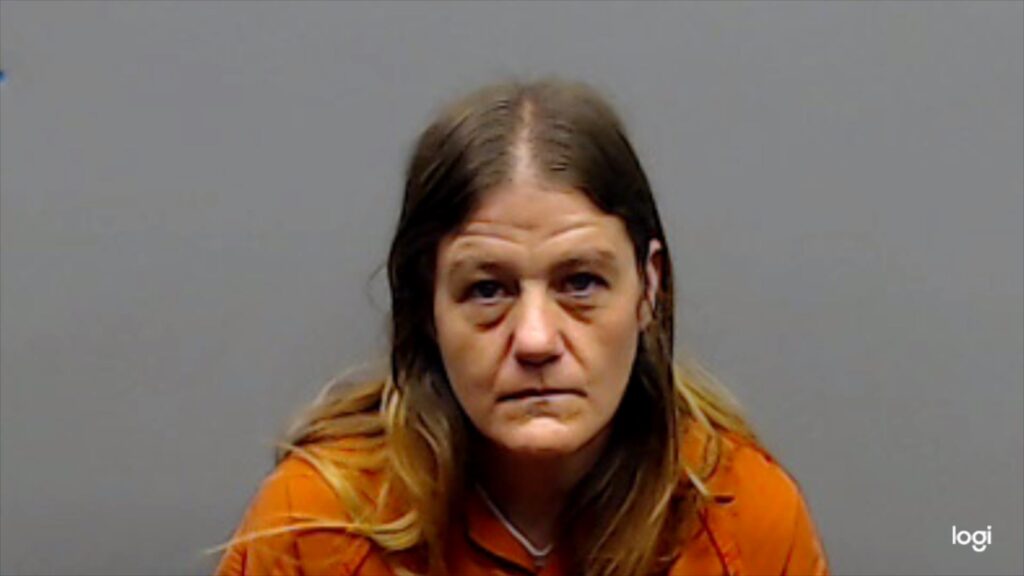 LYKINS, AMY LYNN arrest record in Smith County, Texas LYKINS, AMY LYNN arrested in Smith County, Texas mugshot