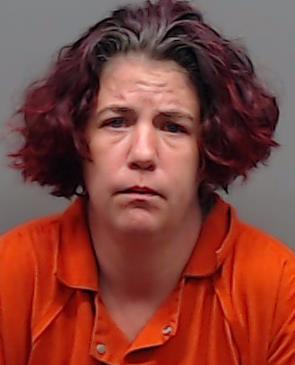 HUDSON, TASHA booking photo