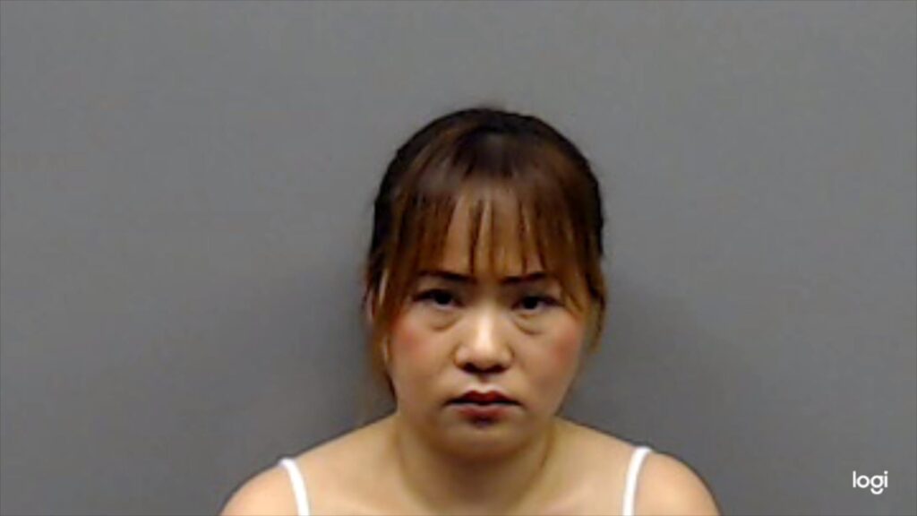 HUYNH, LINH TIEU booking photo