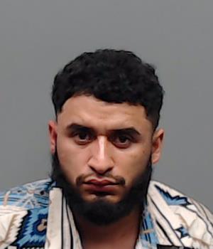 BRIONES-ORTA, LUIS booking photo