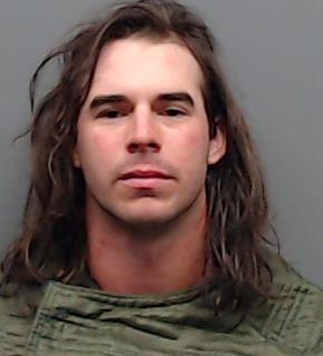 THEIRING, DREW THOMAS booking photo