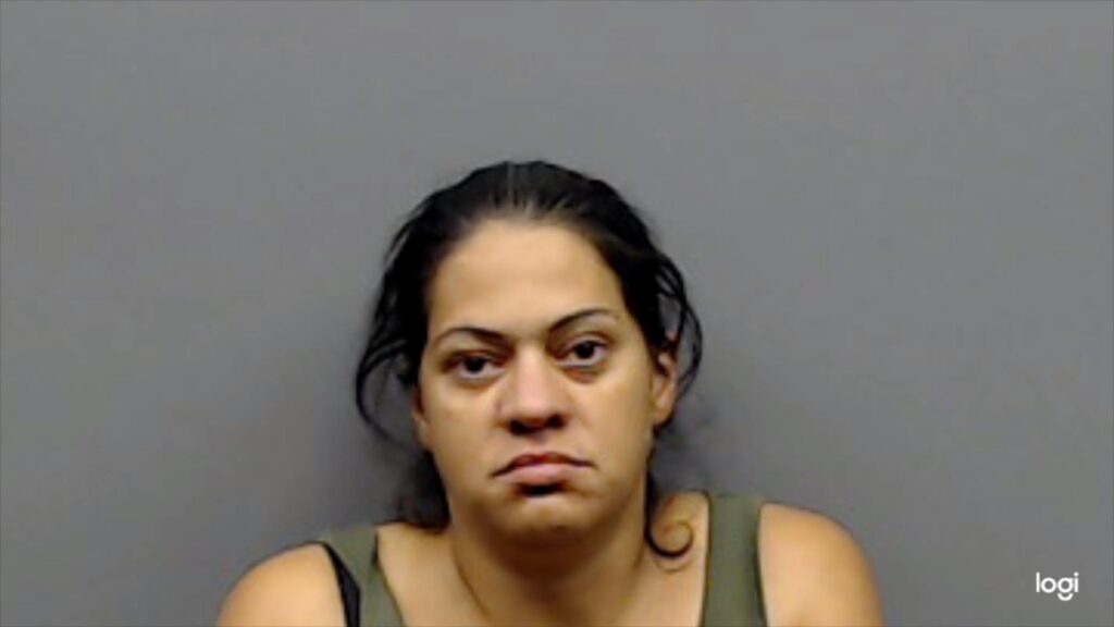 BAHENA, HEATHER arrest record in Smith County, Texas BAHENA, HEATHER arrested in Smith County, Texas mugshot