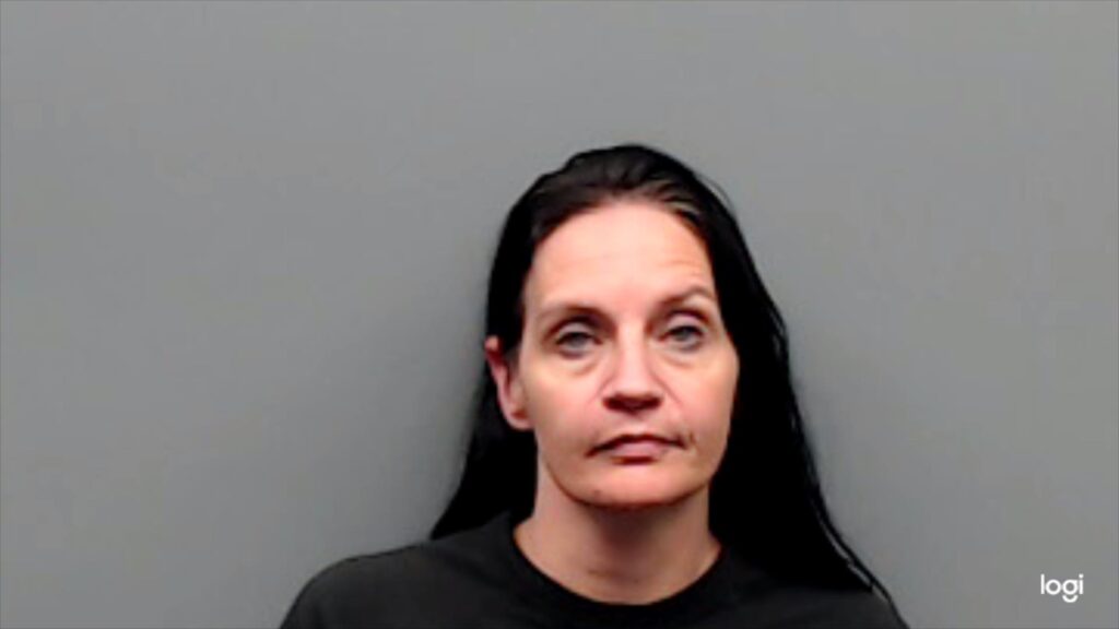 JONES, CAMIE DENAE arrest record in Smith County, Texas JONES, CAMIE DENAE arrested in Smith County, Texas mugshot