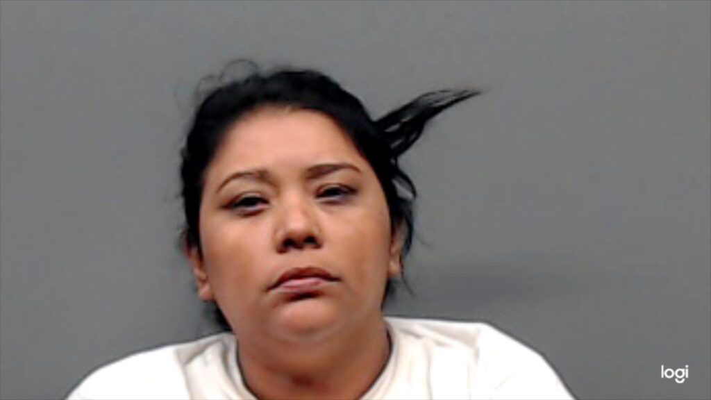 MEJIA-DOMINGUEZ, KARLA arrest record in Smith County, Texas MEJIA-DOMINGUEZ, KARLA arrested in Smith County, Texas mugshot