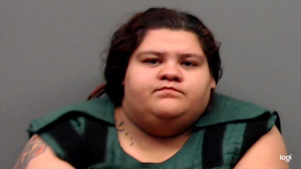 ORTEGA, ANA-ALICIA MARIE arrested in Smith County, Texas mugshot