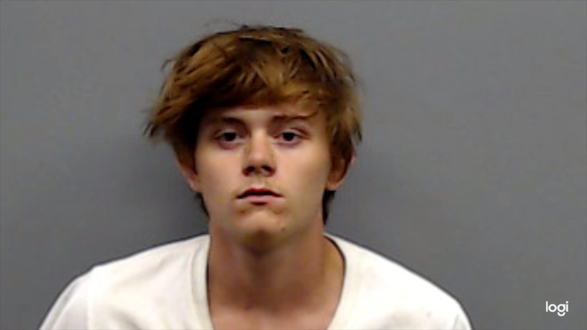 MINK, AUSTON ERICK booking photo