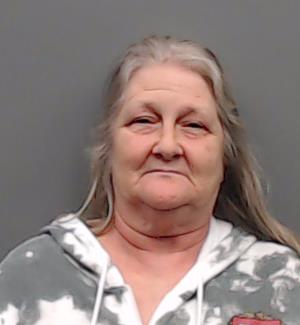 BAYLESS, TINA RAY booking photo